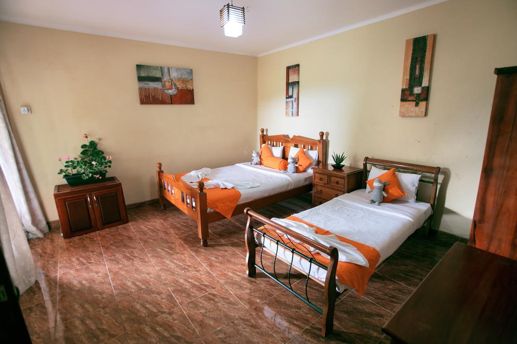 Yes Paradise Канди Номер фото